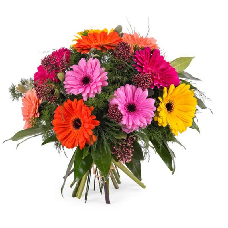 Bouquet Gerberas coloridas - Plantivime