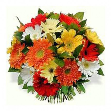 Bouquet Gerberas coloridas